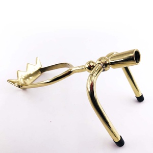 Swan spider
