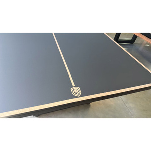 18mm Indoor Pro Table Tennis Top with Steel Edge