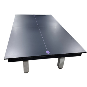 22mm Indoor Borderless Table Tennis Top with Purple Border