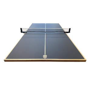 Deluxe Table Tennis Table Top with Net