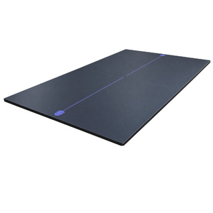 22mm Indoor Borderless Table Tennis Top with Purple Border
