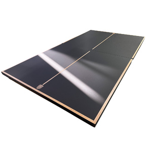 18mm Indoor Pro Table Tennis Top with Steel Edge