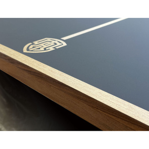 Deluxe Table Tennis Table Top with Net