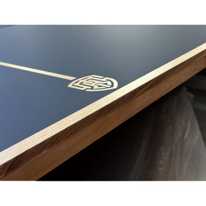 Deluxe Table Tennis Table Top with Net