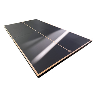 18mm Indoor Pro Table Tennis Top with Wood Border