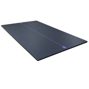 22mm Indoor Borderless Table Tennis Top with Purple Border