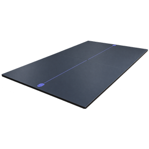 22mm Indoor Borderless Table Tennis Top with Purple Border