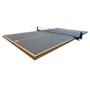 Deluxe Table Tennis Table Top with Net